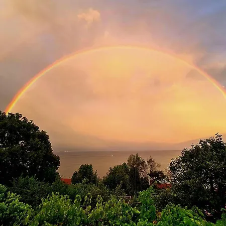 Apartment Amazing In