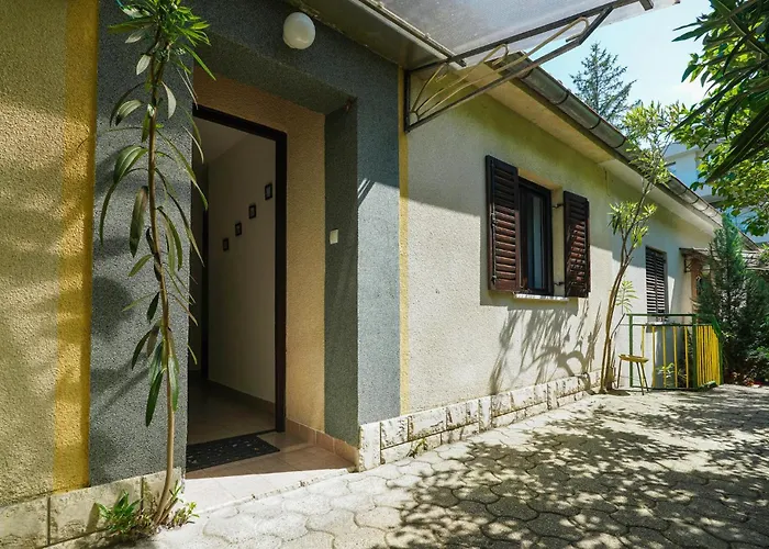 Amazing In Apartment