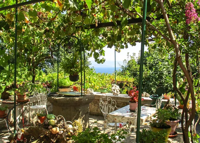 Amazing In * Abbazia